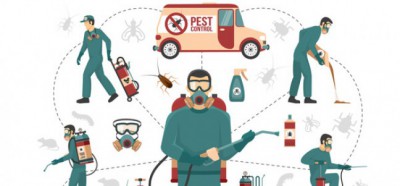 Pest Control - Dịch vụ xử lý côn trùng chuyên nghiệp