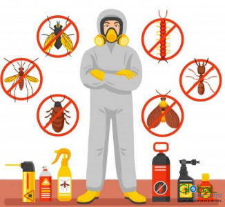 Các phương pháp kiểm soát côn trùng dịch hại trong ngành pest control