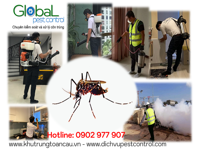 dịch vụ kiểm soát, xử lý, diệt muỗi, pest control