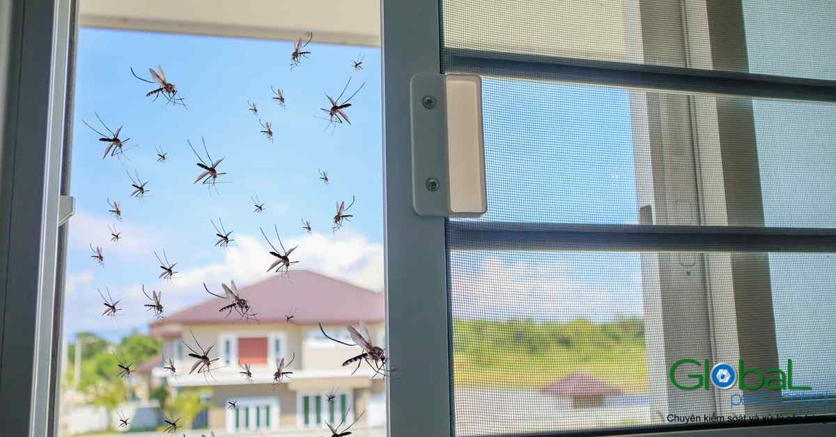 Làm thế nào để ngăn chặn muỗi bay vào nhà